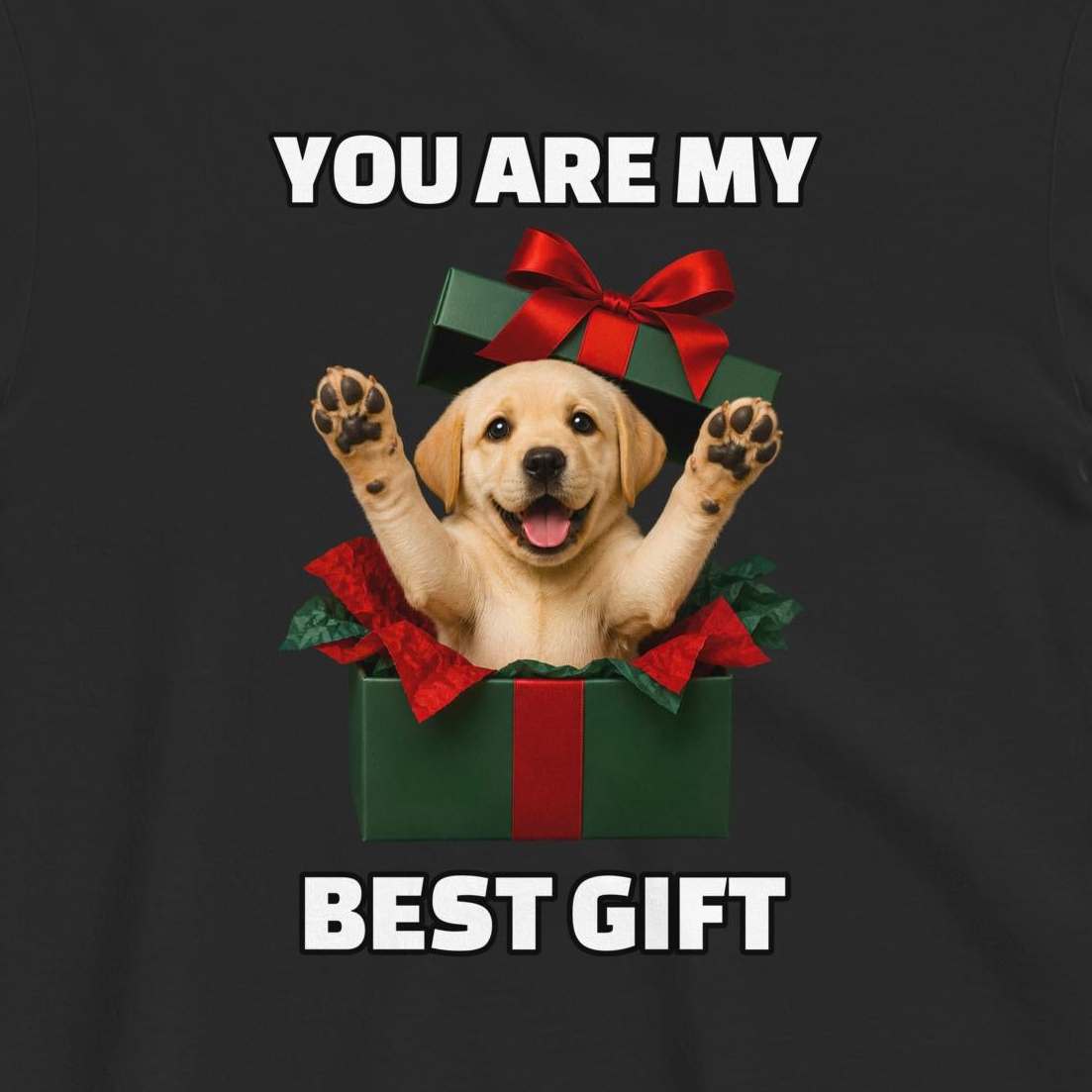 Custom Dog Shirt My Best Gift