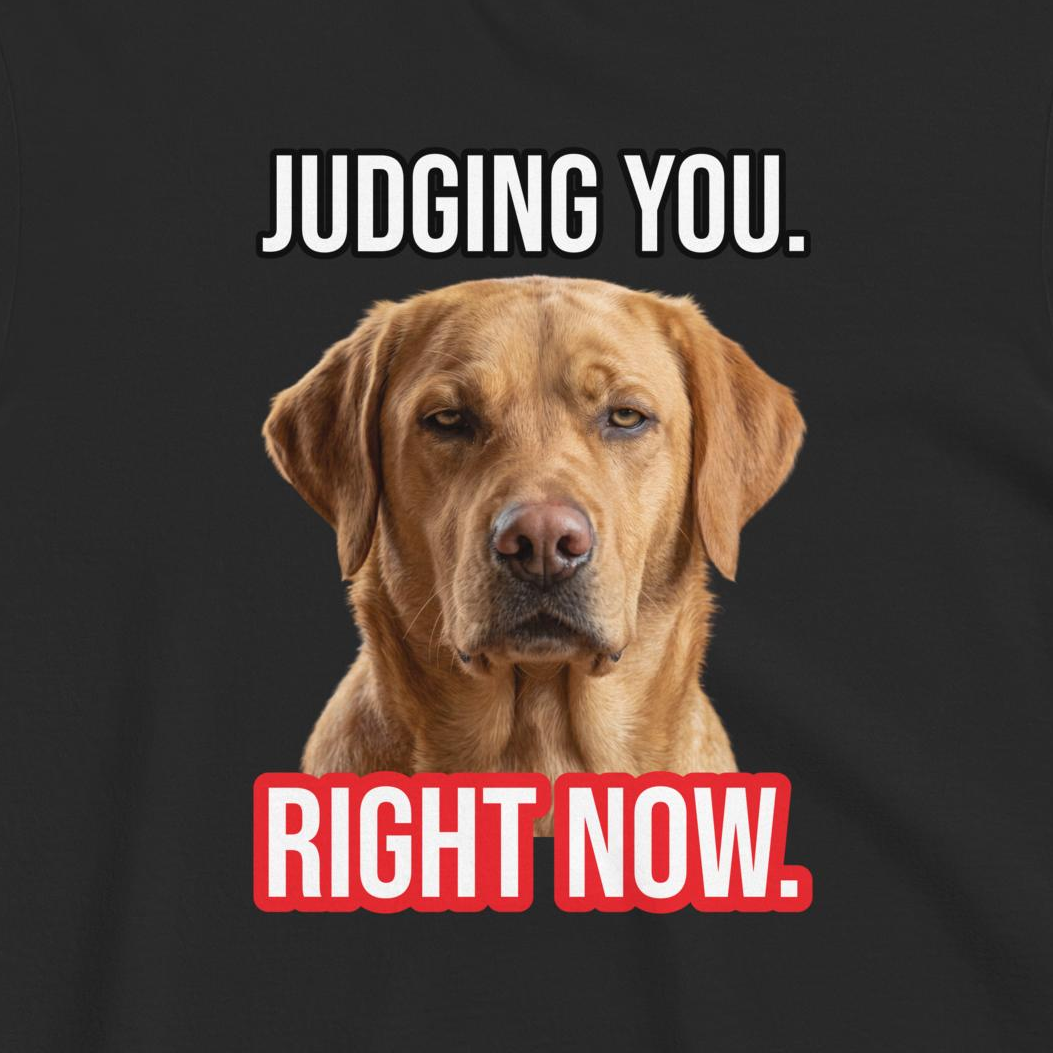 Custom Dog Shirt Judging You Right Now