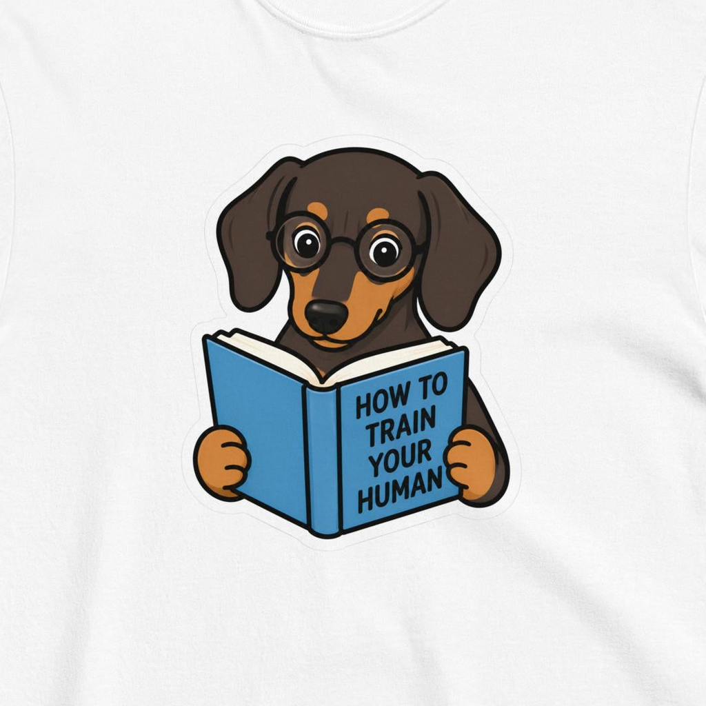 Custom Dog Shirt How To Train Your Human